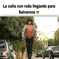 1° de Agosto: Caña con ruda explotaron los Memes