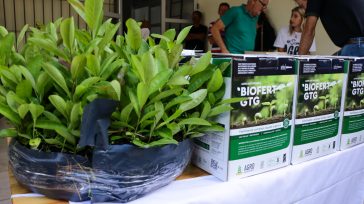 Productores y productoras de la localidad de Oberá se beneficiaron con plantines de yerba mate para el desarrollo de su producción