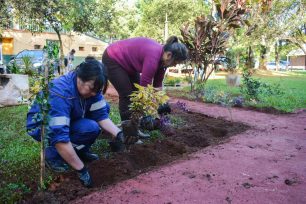 OBERÁ: Arreglos en el área de Salud Mental del Hospital Samic