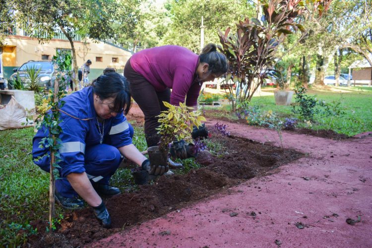 OBERÁ: Arreglos en el área de Salud Mental del Hospital Samic