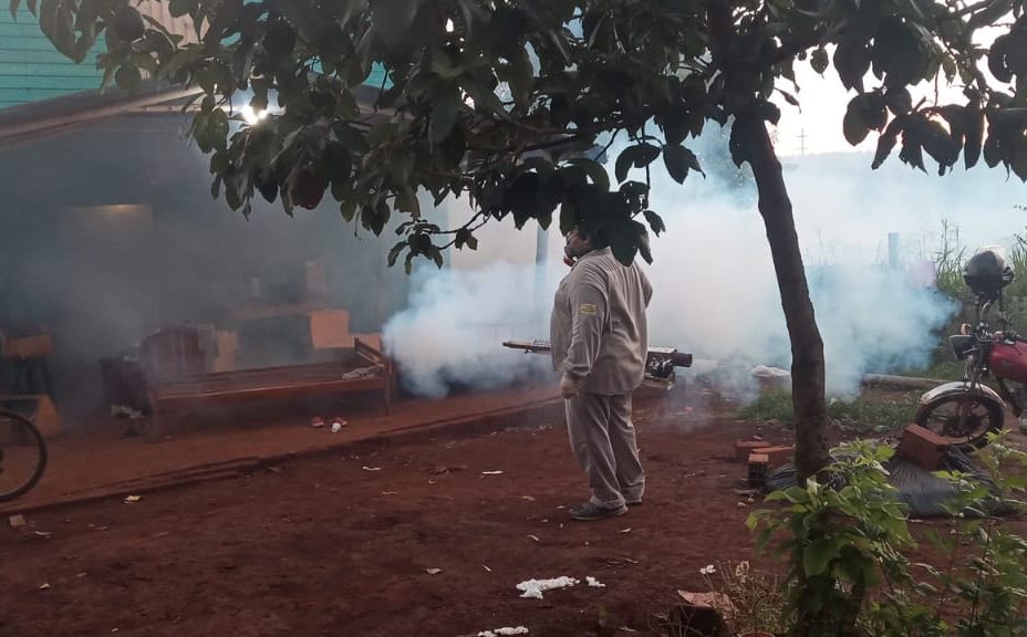 En todo Misiones hay una ola de casos de Dengue, es importante controlar los vectores del mosquito