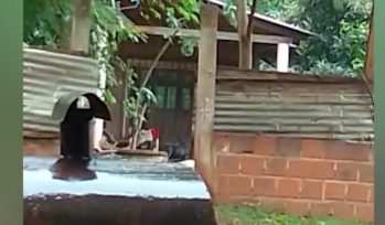 PUERTO IGUAZÚ: Vecinos grabaron a un hombre que golpeo a su hijo de 10 años, esté pedía ayuda a los gritos-IMAGENES SENSIBLES