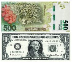 No se puedo controlar la suba del dólar en y antes de terminar la semana llegará a los 500