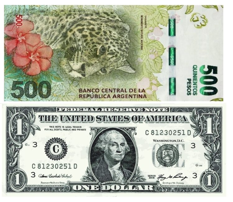 No se puedo controlar la suba del dólar en y antes de terminar la semana llegará a los 500