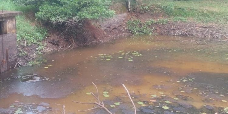 OBERÁ: Preocupante la bajada de agua por las pocas lluvias en el arroyo en Villa Bonita