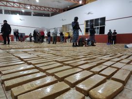 OBERÁ: Una millonaria carga de droga disimulada entre tablones de madera fue secuestrada