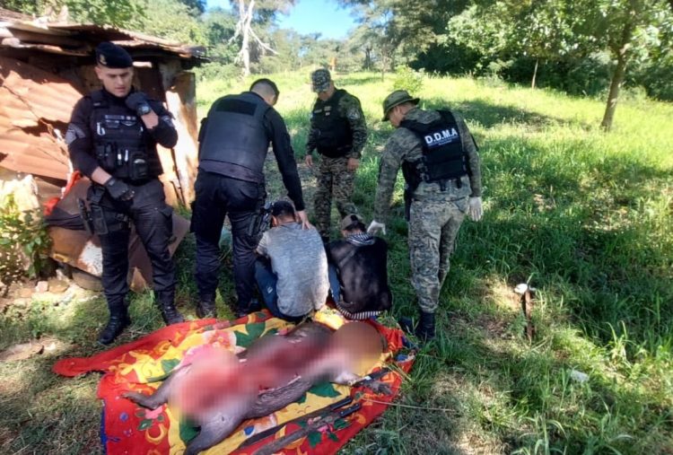 Arrestaron a dos cazadores cuando faenaban a un carpincho en Candelaria