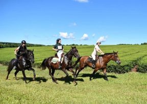 Llega la Tercera edición de Endurance Ecuestre en Eldorado