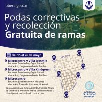 OBERÁ: Podas correctivas y recolección gratuita de ramas, para mantener la limpieza de la cuidad