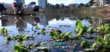 La Bahía El Brete de Posadas contaminada con residuos cloacales