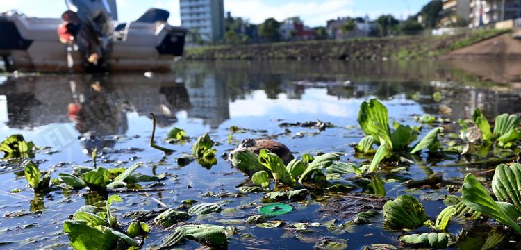 La Bahía El Brete de Posadas contaminada con residuos cloacales