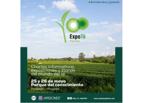Expo Té Argentina en Posadas, con más de 50 stands y entrada gratuita