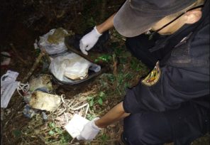 GOBERNADOR ROCA: Fueron hallados los restos de un jubilado posadeño desaparecido desde marzo