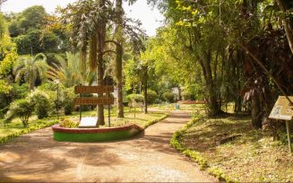 El Jardín Botánico de Posadas, tendrá paseos guiados para mejorar la experiencia