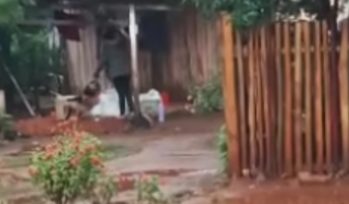 SAN JAVIER: Una mujer mató brumalmente a un perro con agua hervida