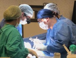 Se realizó hoy el trasplante renal número 100 en Misiones, a una paciente de Leandro N. Alem