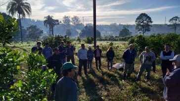Se realizó una capacitación para trabajadores rurales en manejo de yerba mate para mejorar la calidad de la producción en Misiones