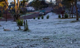 Después de dos semanas con un buen clima llega a Misiones las primeras heladas del año