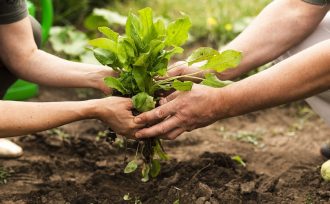 La Legislatura misionera aprobó la ley de producción y promoción de bioinsumos