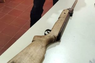 PANAMBI: Un menor mato a tiros a un perro, los vecinos acusaron al joven de disparar al animal que estaba atado