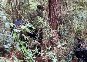 LOS HELECHOS: hallaron restos óseos y la Policía investiga si se trataría de Pedro Wojtowicz