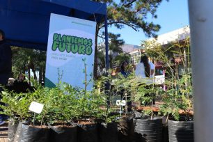 OBERÁ: Tercera edición del Programa “Plantemos Futuro”