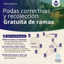 Tercera etapa de podas correctivas y recolección gratuita de ramas