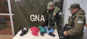 Gendarmería secuestró a 4 aves, por sus características se tratarían de gallos de riña