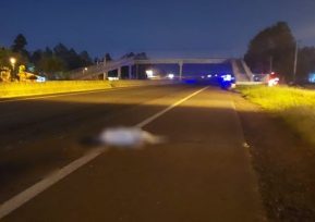 Otro siniestro vial donde se cobra la vida de un peatón, que falleció tras ser embestido por un auto en Candelaria