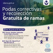 OBERÁ: Cuarta etapa de podas correctivas y recolección gratuita de ramas