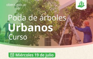 OBERÁ: Curso de Podas de Árboles Urbanos