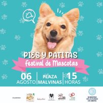OBERÁ: Festival de Mascotas en Plaza Malvinas