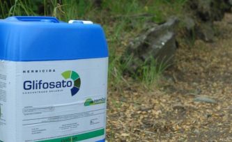 Tras la prohibición de uso de glifosato en Misiones, CAME expresa solidaridad con los productores y apela al diálogo