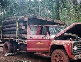 La Policía recuperó rollos de madera robados a colonos de General Urquiza y Santa María: hay tres detenidos