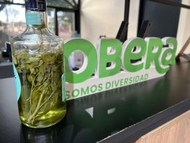 Para espantar los males, caña con ruda el 1° de agosto en la Dirección de Turismo