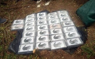 Hallan más de 32 kilos de cocaína que eran parte del cargamento de la avioneta estrellada