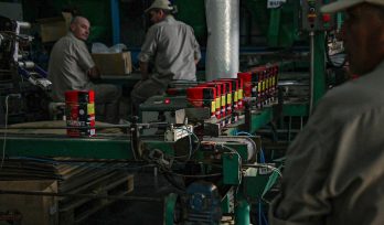 Se notó un incremento de tazas de empleos viables, mas de 500 personas se sumaron a la industria en Misiones