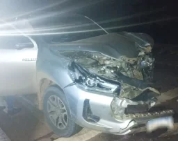 OBERÁ: Accidente vial entre una camioneta y dos animales vacunos, en la ruta 14 de Guaraní