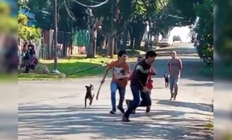 POSADAS:  Un grupo de vecinos se pelearon y uno atacó a otro con un machete