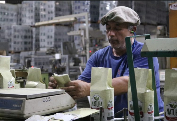 Empresa obereña apuesta al desarrollo productivo con mano de obra local
