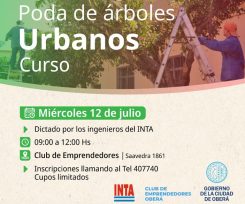 OBERÁ: Curso de Podas de Árboles Urbanos