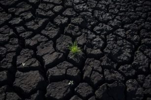ALERTA, Emergencia hídrica en Uruguay, solo le queda un 1% de agua potable apta para beber