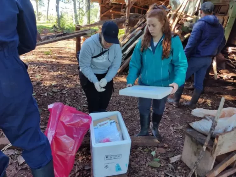 Estudiantes de la Universidad Nacional de Río Cuarto realizaron sus pasantías de Sanidad Animal en Misiones