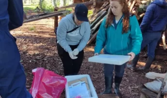 Estudiantes de la Universidad Nacional de Río Cuarto realizaron sus pasantías de Sanidad Animal en Misiones