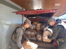 Allanaron vivienda donde guardaban enorme cantidad marihuana, dos ciudadanos argentinos y uno paraguayo resultaron detenidos