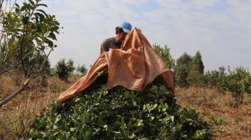 Larreta, tema yerba, “Solo un grupo se enriquece, tanto que algunos dejan las chacras por no tener un precio justo y una vida digna