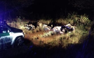 SAN VICENTE: Gendarmes hallaron 4.639 paquetes de marihuana escondidos entre malezas