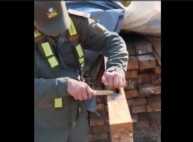 Tirantes de madera apilados en el monte tenían millonaria carga de marihuana oculta dentro de ellos