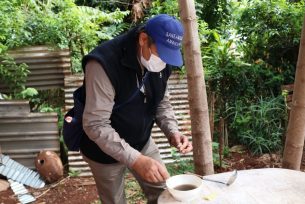 OBERÁ: Actividades de control de vectores 
