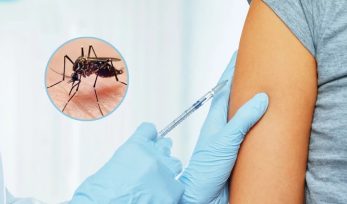 Llega una vacuna contra el dengue al país